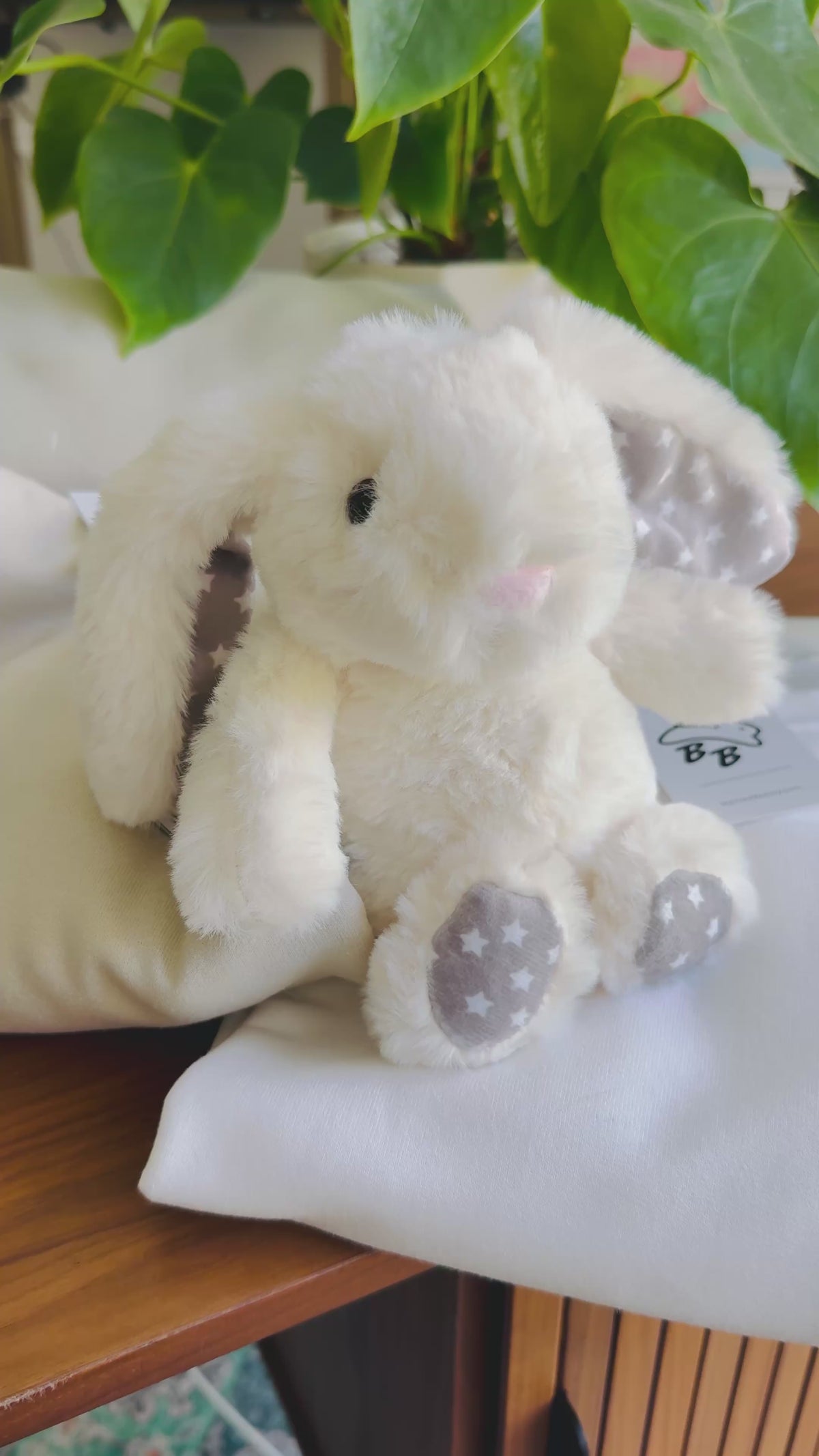 Ultra Soft Plushie Bunny